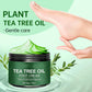 💝 Nyugtató aloe verás és teafaolajas lábmegújító krém