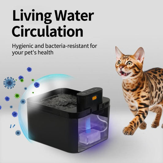 🐱Rozsdamentes acélból készült itató macskáknak és kutyáknak💧USB-ről működik és folyó vízzel
