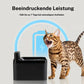 🐱Rozsdamentes acélból készült itató macskáknak és kutyáknak💧USB-ről működik és folyó vízzel