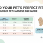 🦮Aranyos hamburgeres kutyahám és póráz szett mini hátizsákkal🍔