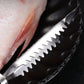 🐟Купи 1 и вземи 1 безплатно🐟Отстранител на рибни люспи от неръждаема стомана