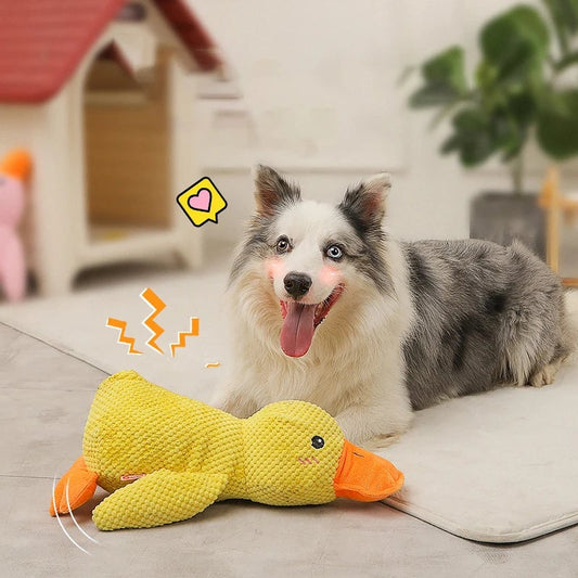 🐶 Quack-Quack kacsa kutyajáték