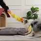 🐶 Quack-Quack kacsa kutyajáték