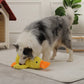 🐶 Quack-Quack kacsa kutyajáték