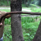 Vásároljon 1 kap 1 ingyenes ! 🔥 Survival Gear rozsdamentes acél drótfűrész – tartós, hordozható és többcélú, kültéri használatra ⚡