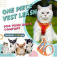 🐱🐶 Kifejezetten kis- és közepes méretű háziállatok számára tervezett mellényes póráz 🐈🐾