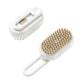 3-in-1 Pet Spray Massage Brush