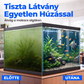 🐠 Az akvárium üvege mocsarasnak tűnik? Egyetlen húzás – foltmentes. Működik akváriumokon, terráriumokon és üvegfelületeken.🎉 Akváriumtisztító eszköz💖