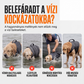 🐕 Kutyus életmentő mellény levehető elülső úszóbetéttel – Álltartás a kezdő úszóknak, fényvisszaverő biztonsági mellény mentőfogantyúval 🏊‍♂️✨