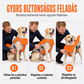 🐕 Kutyus életmentő mellény levehető elülső úszóbetéttel – Álltartás a kezdő úszóknak, fényvisszaverő biztonsági mellény mentőfogantyúval 🏊‍♂️✨