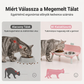 🐾🍽️ Kétemeletes, megemelt állatetető: segít megőrizni az egészséges testalkatot + könnyen tisztítható! 🎉