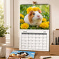 🐹 2027-es tengerimalac-naptár – aranyos fotók és vidám faldekoráció